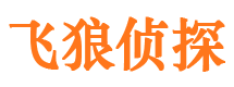 天峨外遇调查取证